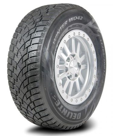 Delinte WINTER WD42